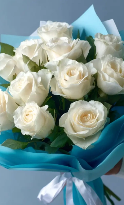 Белые розы «Тишина зимы»