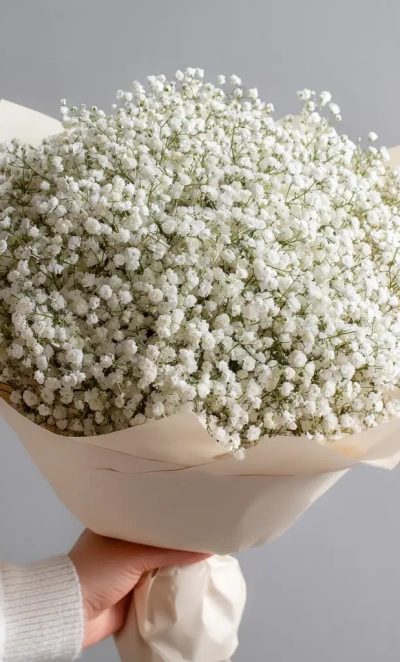Монобукет из белой гипсофилы