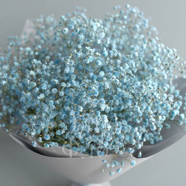 Монобукет из голубой гипсофилы