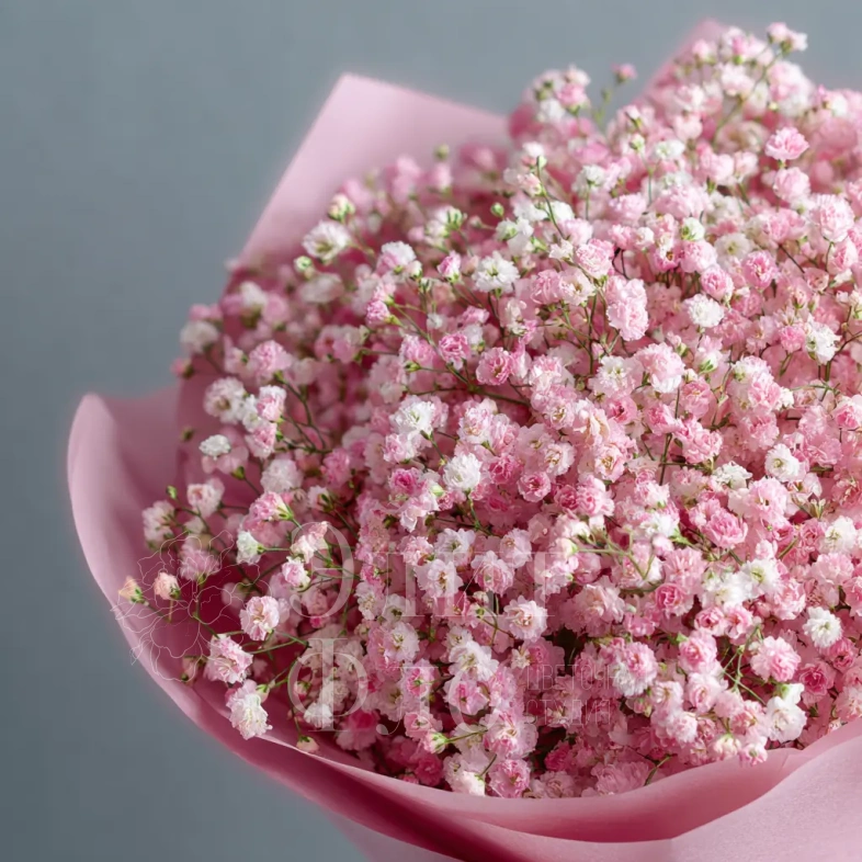 Монобукет из гипсофилы &laquo;Воздушная сказка&raquo;