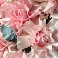 Роскошный букет из 25 Французских роз 1