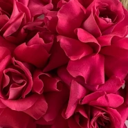 Божественный аромат 1