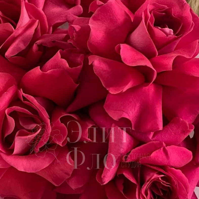 Божественный аромат