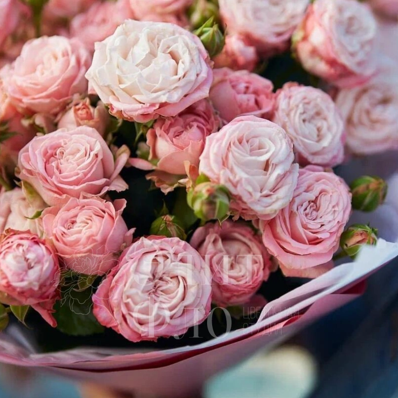 Букет из 7 кустовых роз