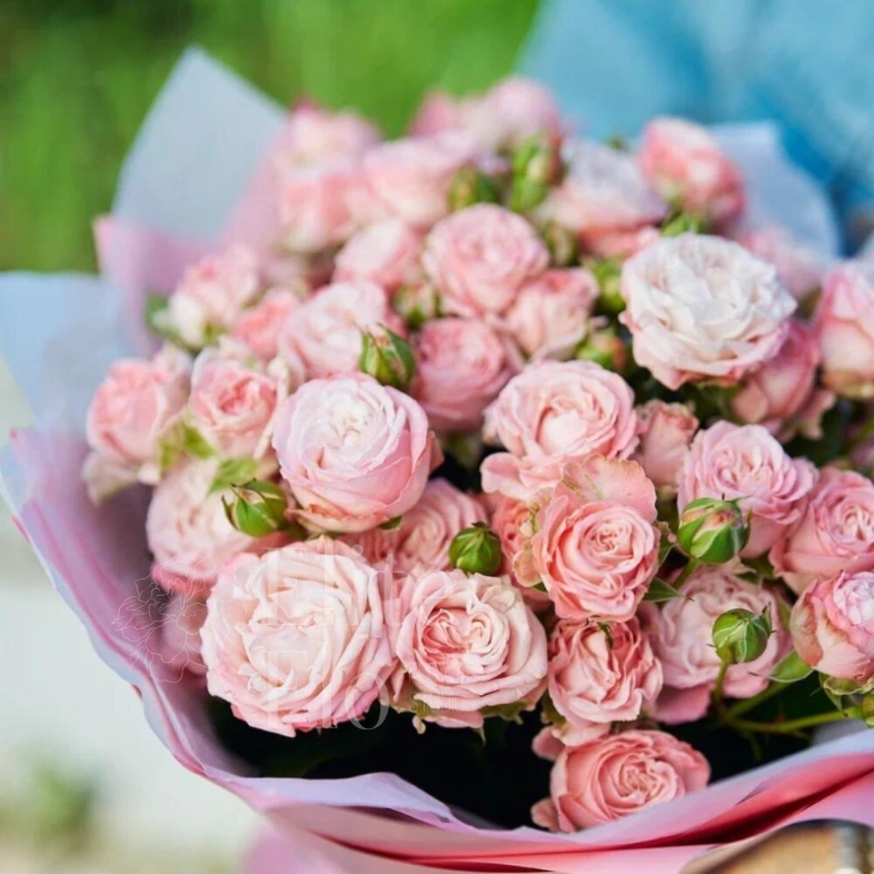 Букет из 7 кустовых роз