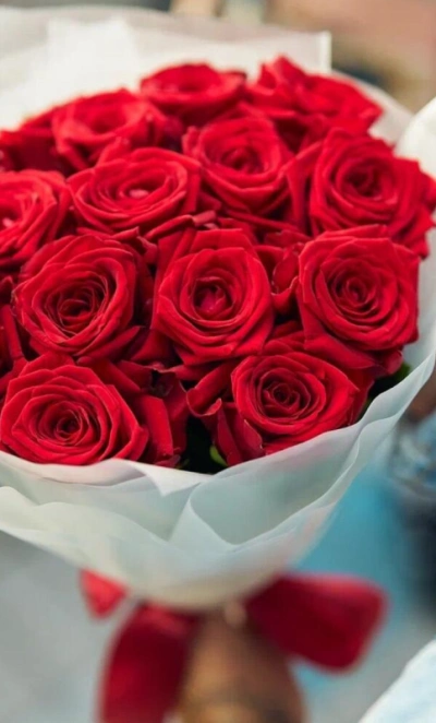 Ароматные сортовые розы