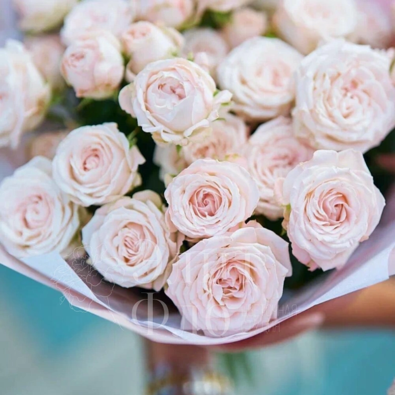 Кустовые розы Мадам Бомбастик