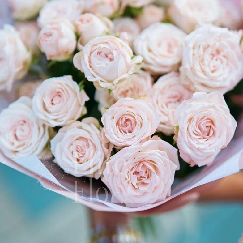 Кустовые розы Мадам Бомбастик