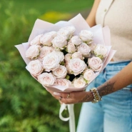 Кустовые розы Мадам Бомбастик 1