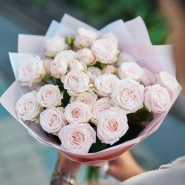 Кустовые розы Мадам Бомбастик 0