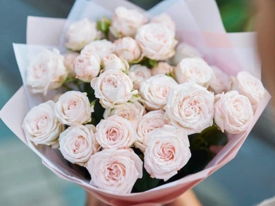 Кустовые розы Мадам Бомбастик