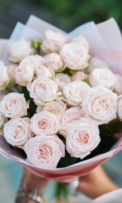 Кустовые розы Мадам Бомбастик