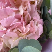 Розовая Гортензия с эвкалиптом 4