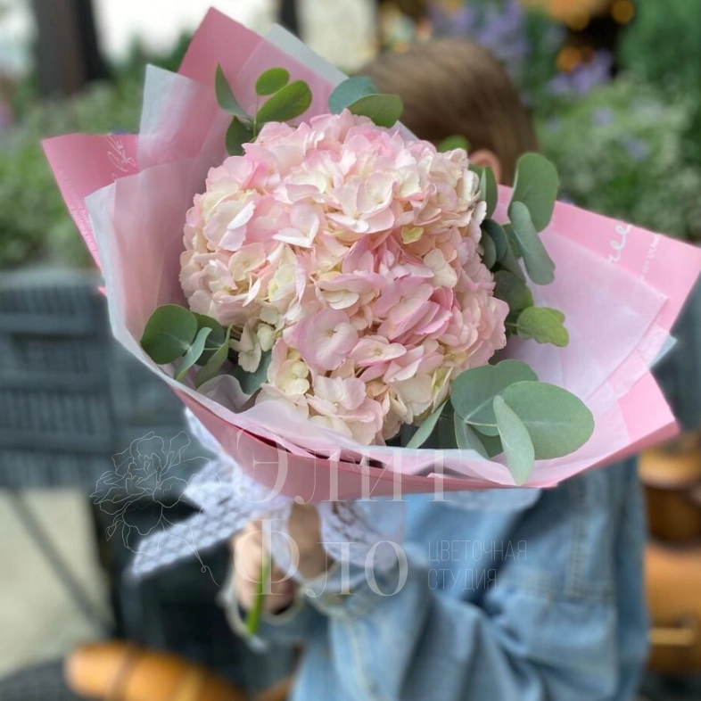 Розовая Гортензия с эвкалиптом