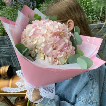 Розовая Гортензия с эвкалиптом