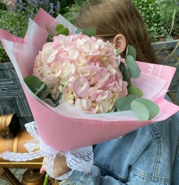 Розовая Гортензия с эвкалиптом