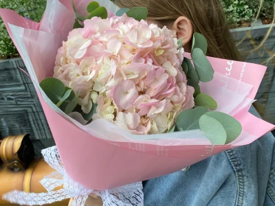 Розовая Гортензия с эвкалиптом