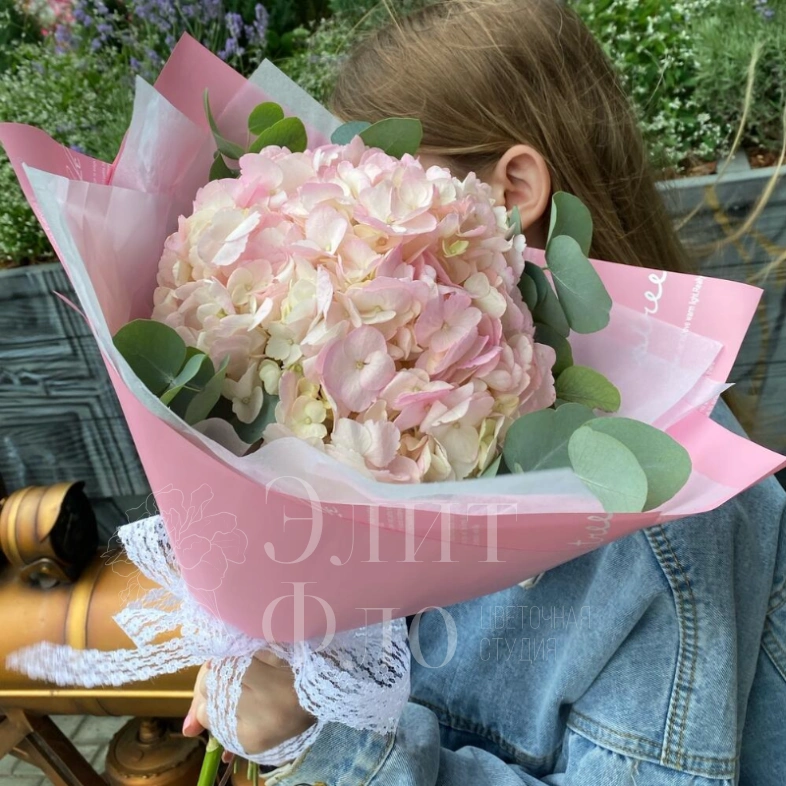 Розовая Гортензия с эвкалиптом