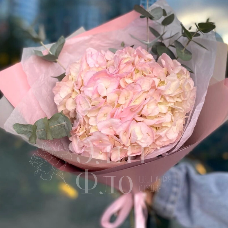 Розовая Гортензия с эвкалиптом