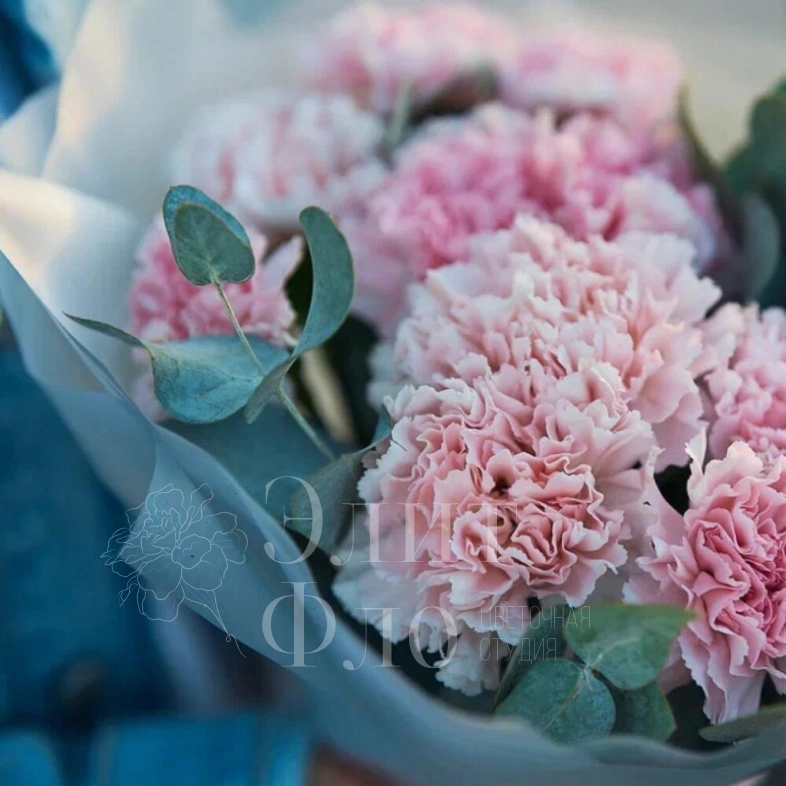 Букет из 11 розовых диантусов