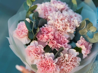 Букет из 11 розовых диантусов