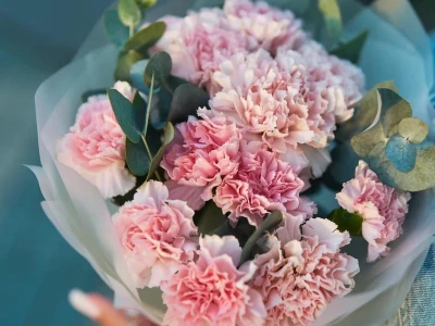 Букет из 11 розовых диантусов