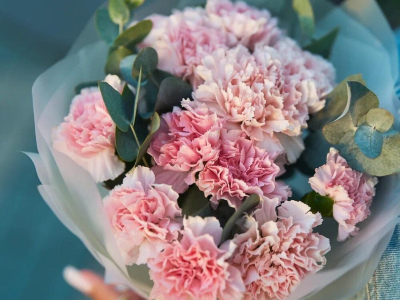 Букет из 11 розовых диантусов