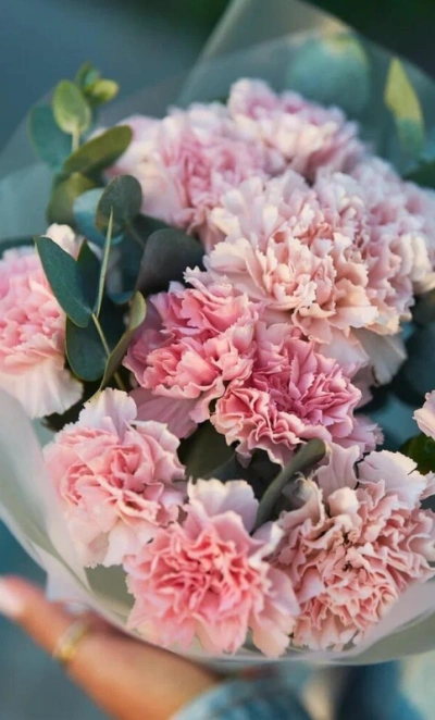 Букет из 11 розовых диантусов