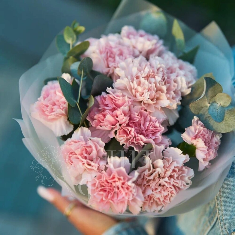 Букет из 11 розовых диантусов