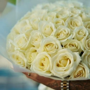 51 белая роза в матовой упаковке 4