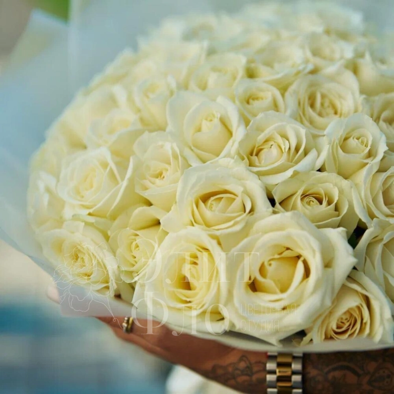 51 белая роза в матовой упаковке