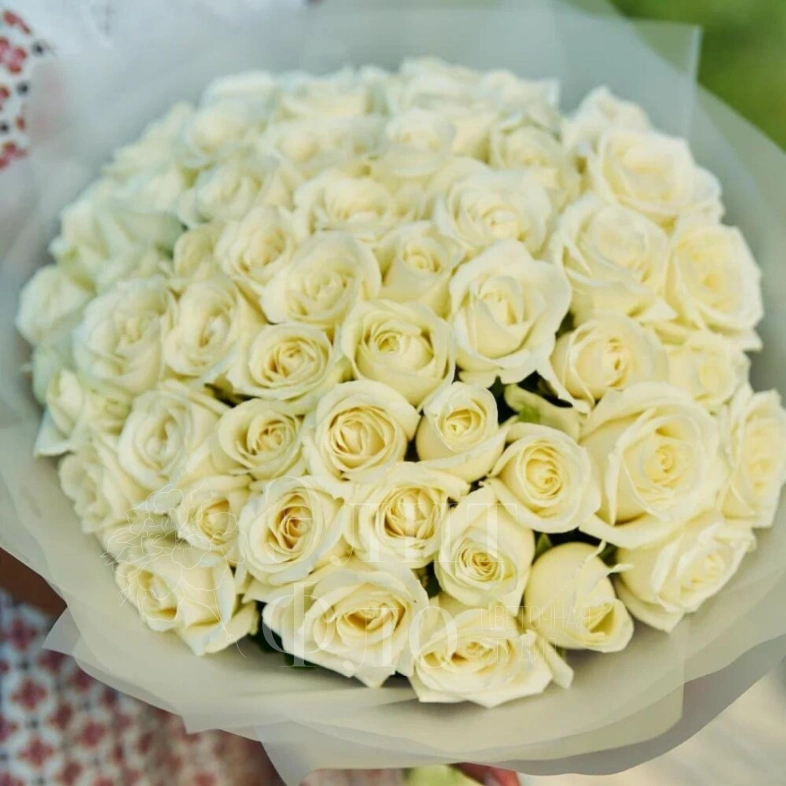 51 белая роза в матовой упаковке