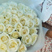 51 белая роза в матовой упаковке 3