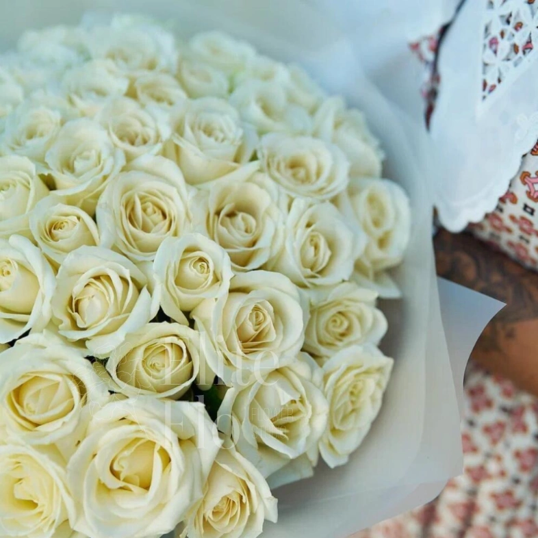 51 белая роза в матовой упаковке
