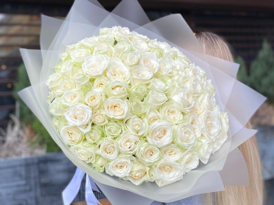 101 сортовая белая роза