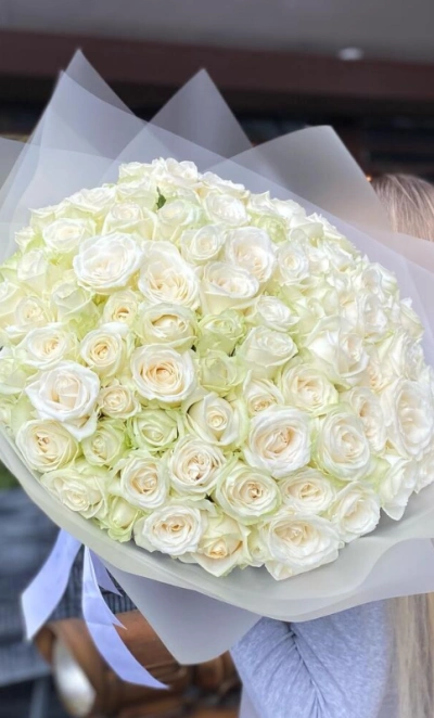 101 сортовая белая роза