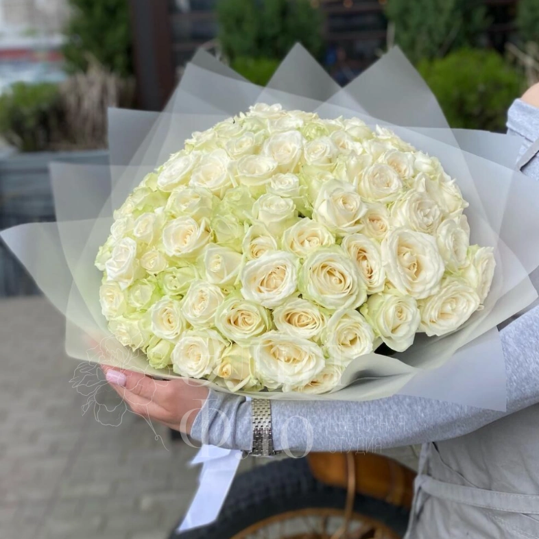 101 сортовая белая роза