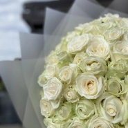 101 сортовая белая роза 4