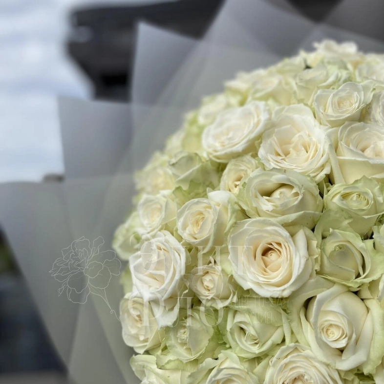 101 сортовая белая роза