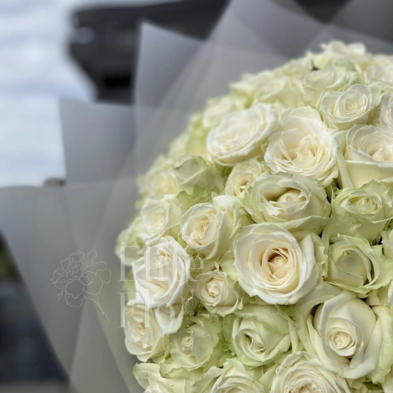 101 сортовая белая роза