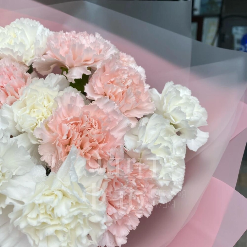 Букет из 15 сортовых диантусов