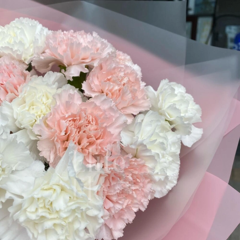 Букет из 15 сортовых диантусов