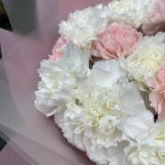 Букет из 15 сортовых диантусов 4