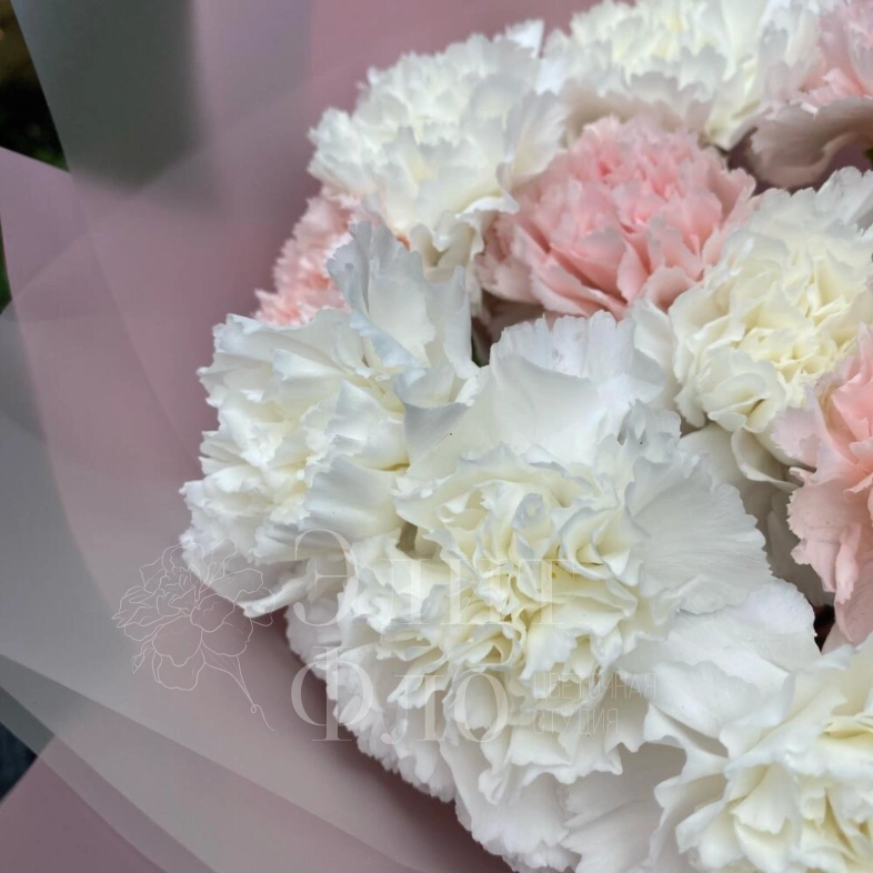 Букет из 15 сортовых диантусов