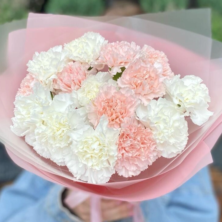 Букет из 15 сортовых диантусов