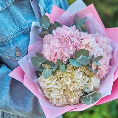 Очаровательные гортензии