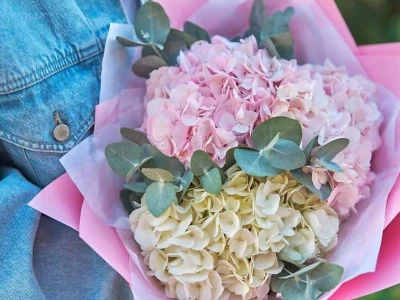 Очаровательные гортензии