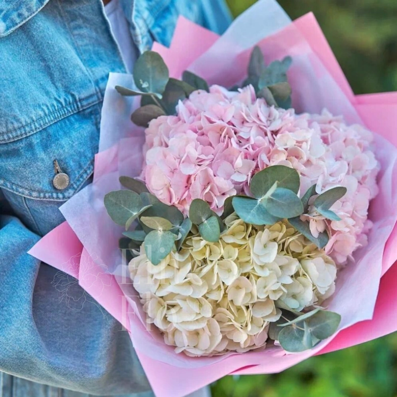 Очаровательные гортензии