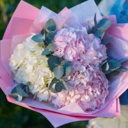 Очаровательные гортензии 4