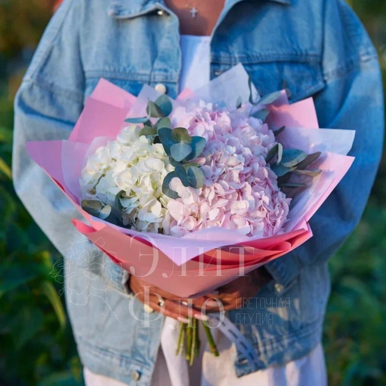 Очаровательные гортензии